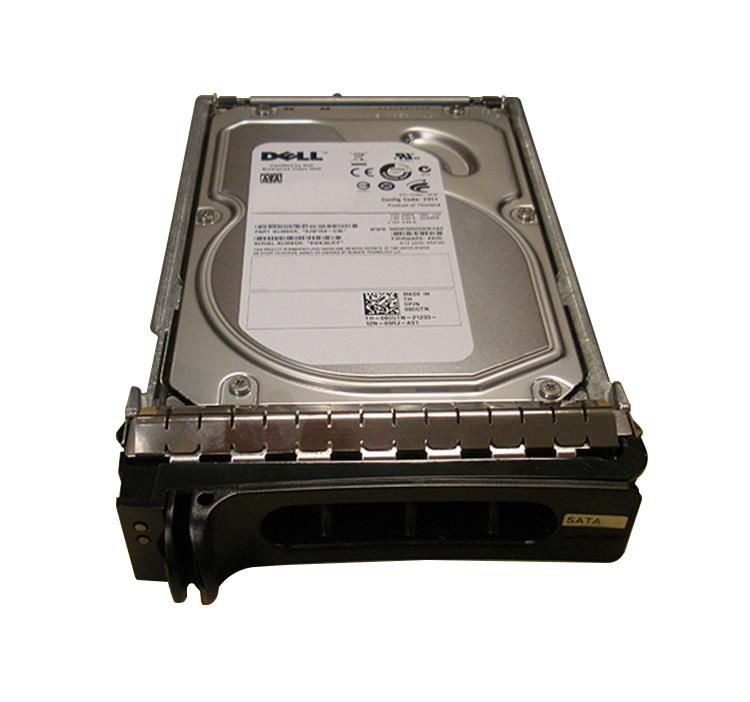 2 TB 7,2 K SATA 3,5" SP 6G DELL P/N: 8RMTX 08RMTX
