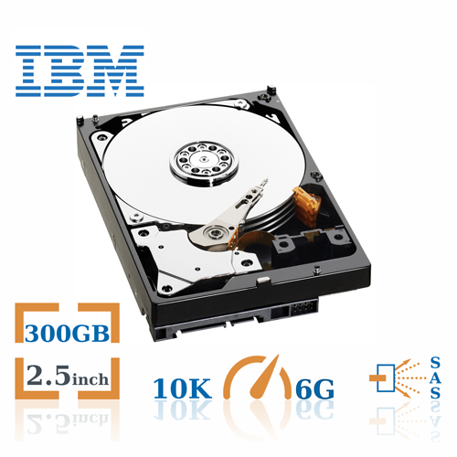 300GB 10K SAS 2.5" HDD DP 6G IBM P/N: 42D0641 9FK066-039